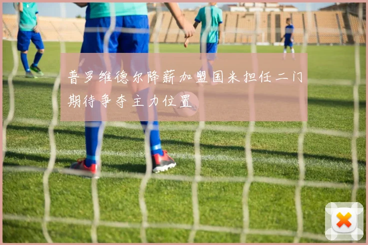 普罗维德尔降薪加盟国米担任二门期待争夺主力位置